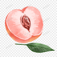 麻豆传媒在线观看APPAPP应用