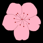 WWW,443av·COM网站APP